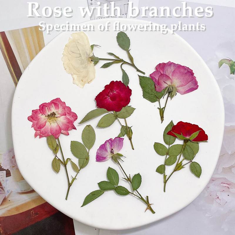 12pcs, Nature White Pink Red R - Wedding Card Box 评论和价格